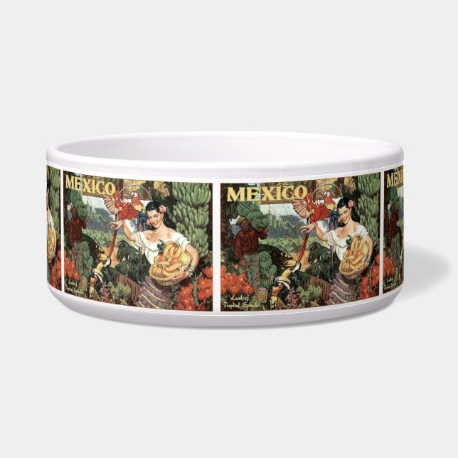 tigelas de animais de estimação da viagens vintage (Frente)