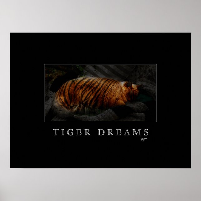 Tiger Dreams Poster (Frente)