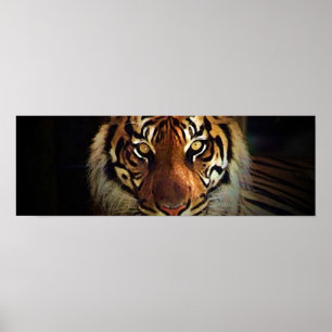 Tiger Eyes Poster - Posters de vida selvagem