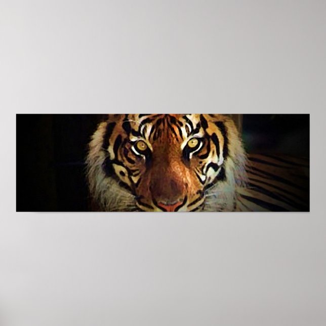Tiger Eyes Poster - Posters de vida selvagem (Frente)