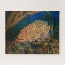 Tiger Grouper Underwater Quebra-cabeça