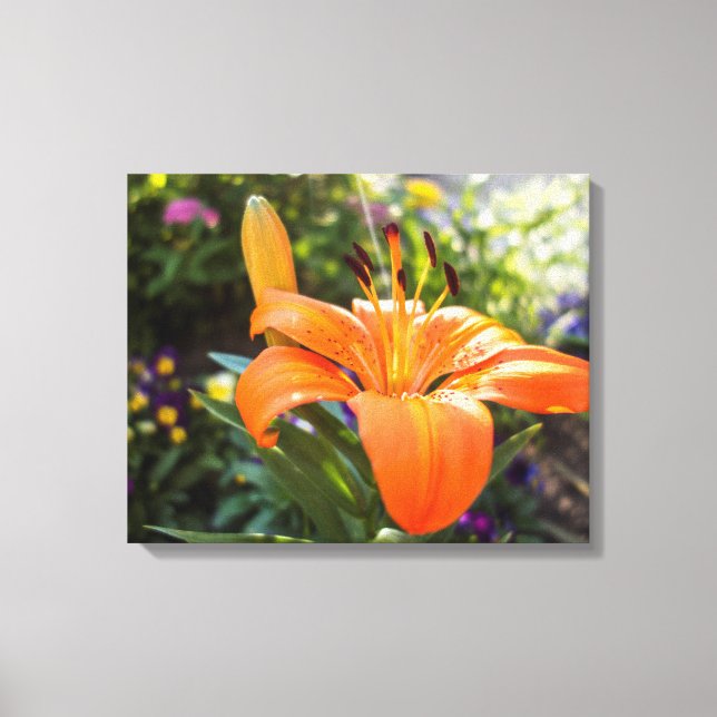 Tiger Lily Canvas (Frente)