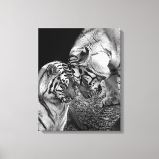Tiger Love Photo on Canvas Wrap