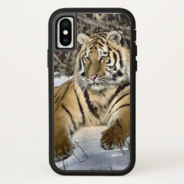 Tiger Lovers