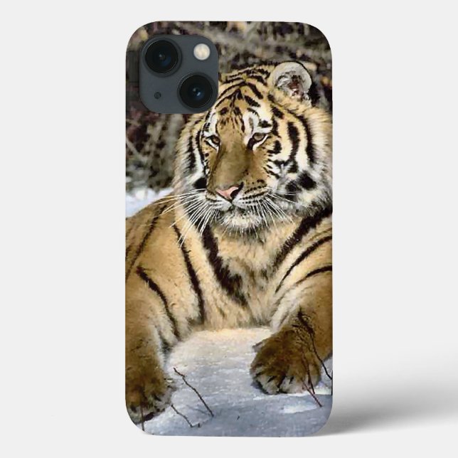 Tiger Lovers (Verso)