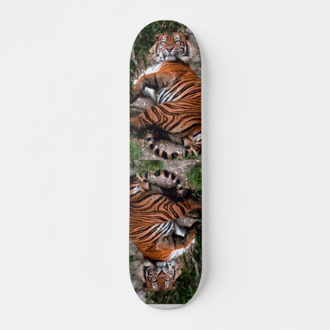 Tiger Skateboard (Frente)