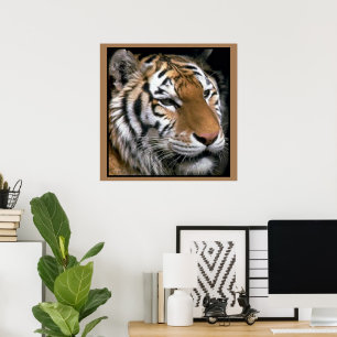 Tigers Lovers Art Poster
