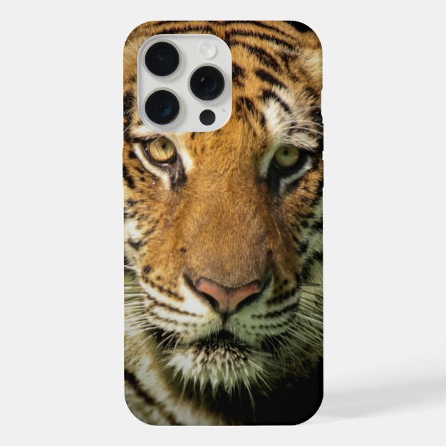 tigre (Verso)