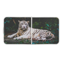 Tigre