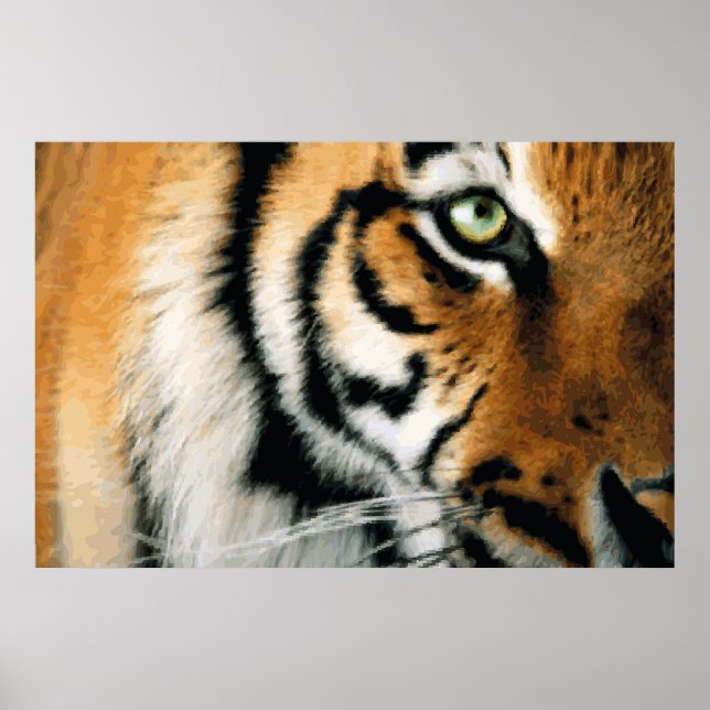 Tigre 2 - Poster (Frente)