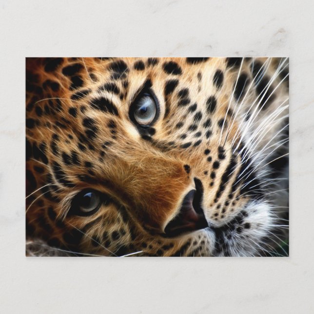 Tigre 3 - Cartão postal (Frente)