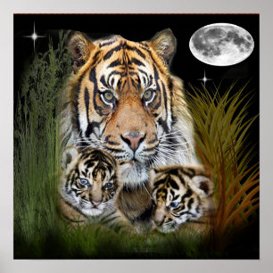 Tigre art poster