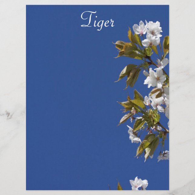 Tigre Blossom Letterhead (Frente)
