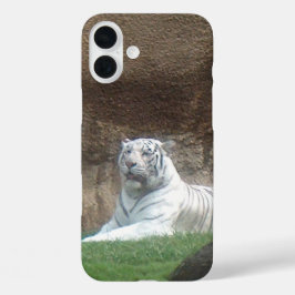 Tigre Branco