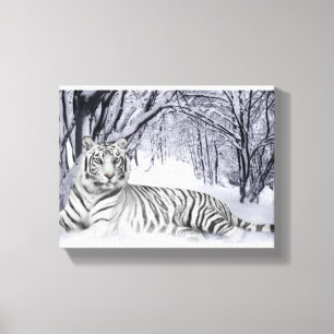 Tigre Branco da canvas