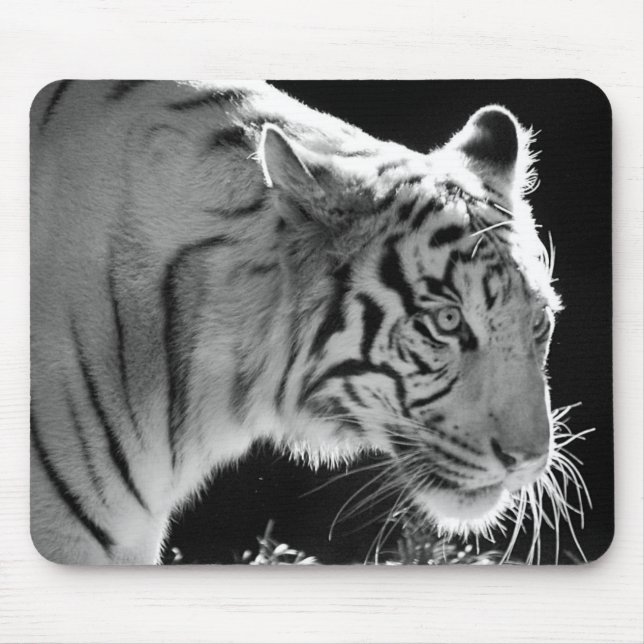 Tigre branco Mousepad (Frente)