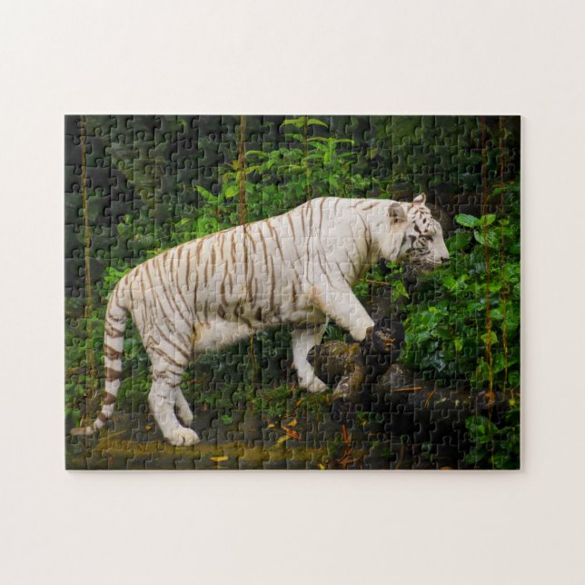 Tigre Branco Singapura. Quebra-cabeça (Horizontal)