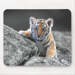 Tigre Cub adorável Mousepad