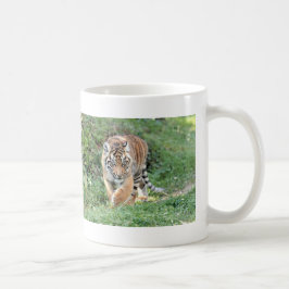 Tigre de fotos, gato, caneca de café