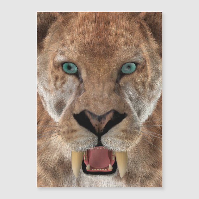 Tigre Dente de Sabre ou Smilodon (Frente)