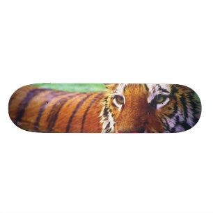Tigre do skate