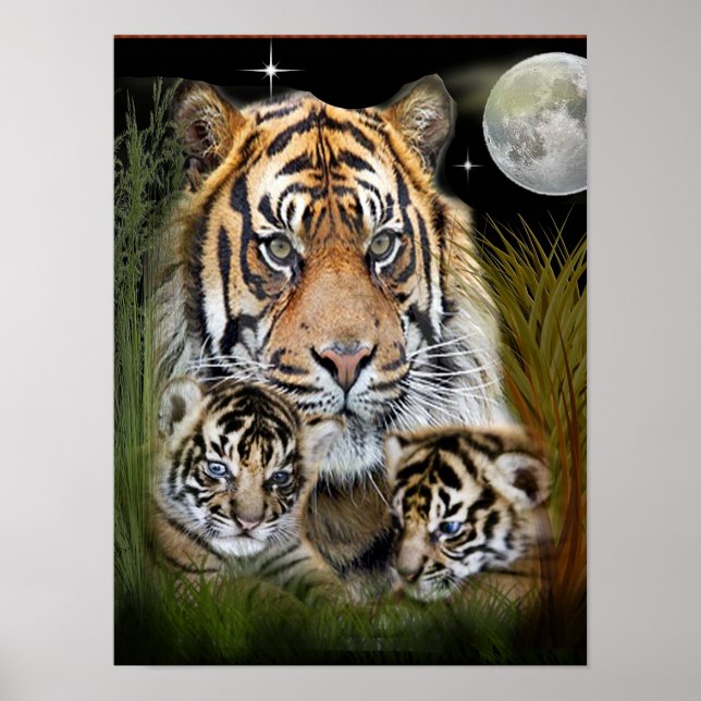 Tigre e posters de filhotes (Frente)
