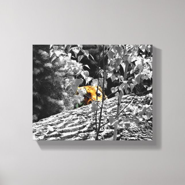 Tigre Esconde-Esconde Canvas 10x8 (Frente)