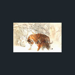 Tigre Family em Winter Landscape Canvas Print<br><div class="desc">Família Tiger em Impressão de Telas na Paisagem de inverno.</div>