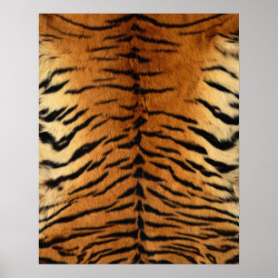 Tigre Impressão de peles com pelo