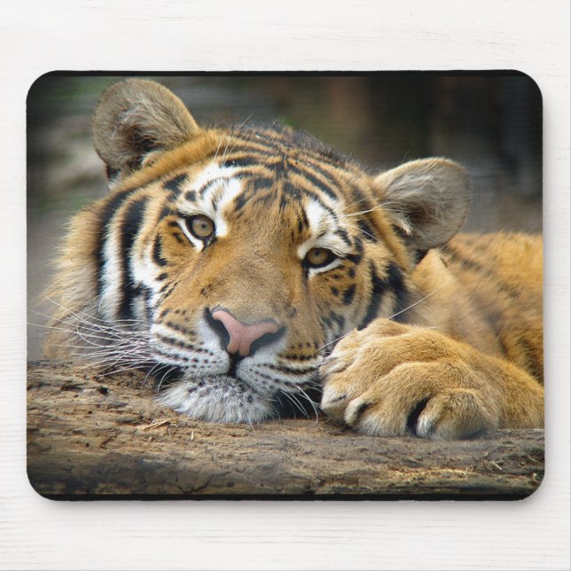Tigre Mousepad (Frente)