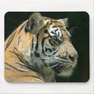 Tigre Mousepad de Sumatran