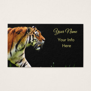 Tigre no Prowl