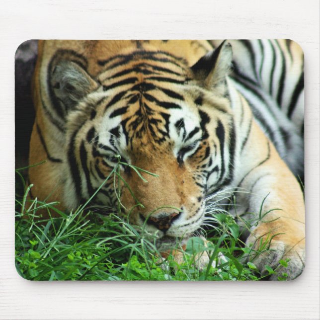 Tigre que dorme na grama Mousepad (Frente)
