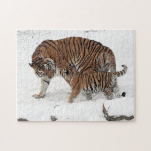Tigre Siberian e quebra-cabeça de Cub
