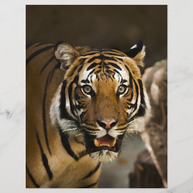 Tigre Siberiano (Frente)