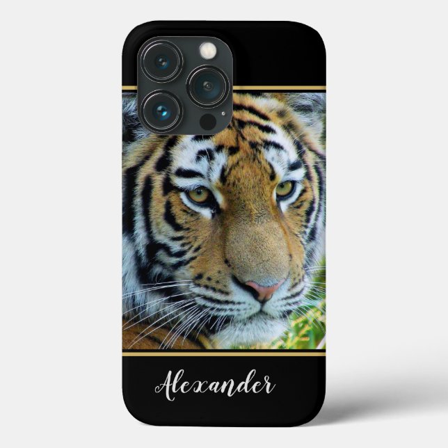 Tigre Siberiano, Tigre de Amur (Verso)