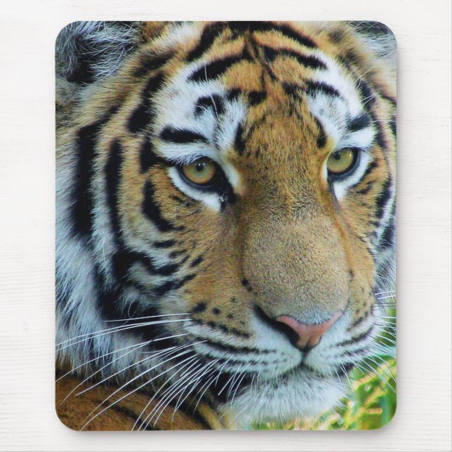 Tigre Siberiano, Tigre de Amur Mousepad (Frente)