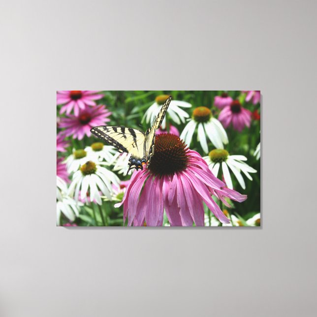 Tigre Swallowtail Butterfly Flor Canvas Print (Frente)
