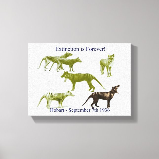 Tigre Tasmaniano Tylacine Canvas Imprimir (Frente)