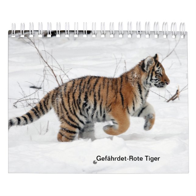 Tigres vermelhos como calendários (Capa)