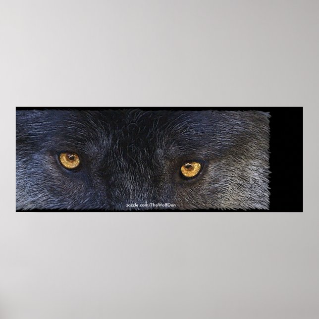 Timber Wolf Eyes Wildlife Photo Art Poster (Frente)