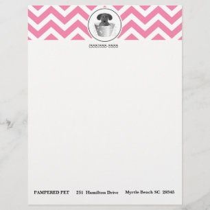 Timbrado Papel Letterhead Para Empresas Pet Groomer