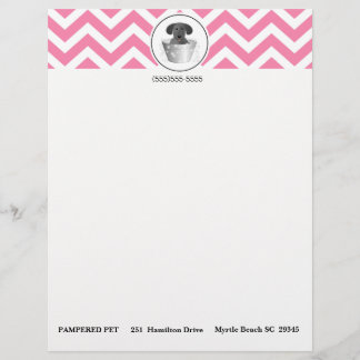 Timbrado Papel Letterhead Para Empresas Pet Groomer