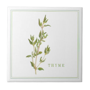 TIME FRESCO 4,25x4,25 Azulejo cerâmico (+texto)