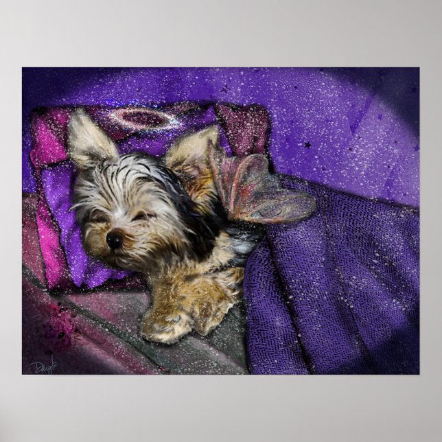 Tiny Yorkie dormindo Anjos e Poster Halo (Frente)