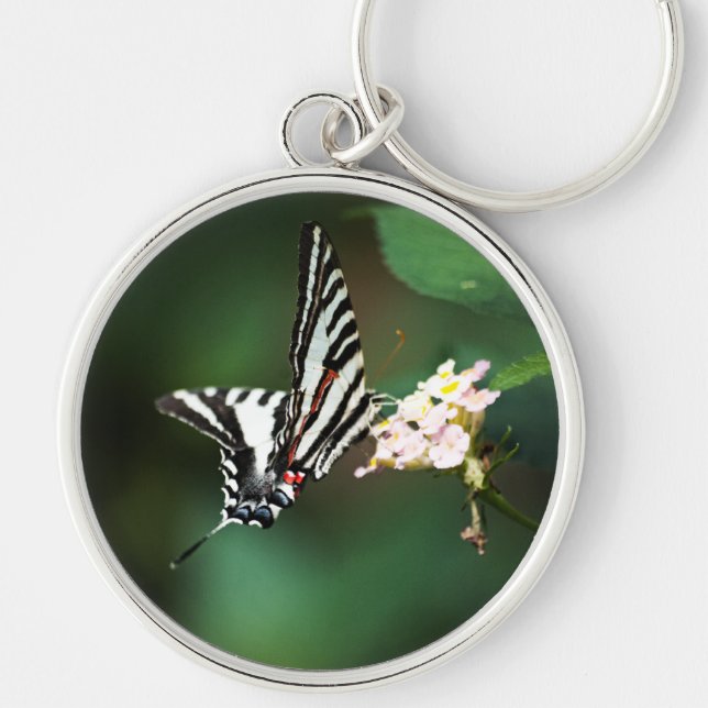 Tiny Zebra Chaveiro (Frente)