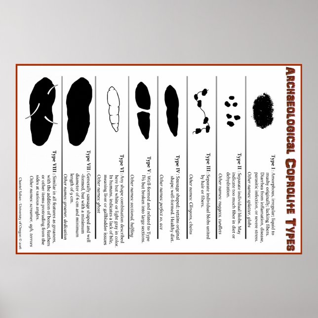 Tipos de Coprolite Arqueológica Poster (Frente)