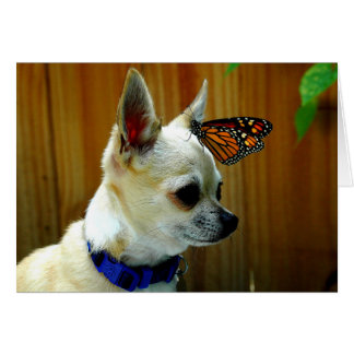 Tito e o cartão do monarca