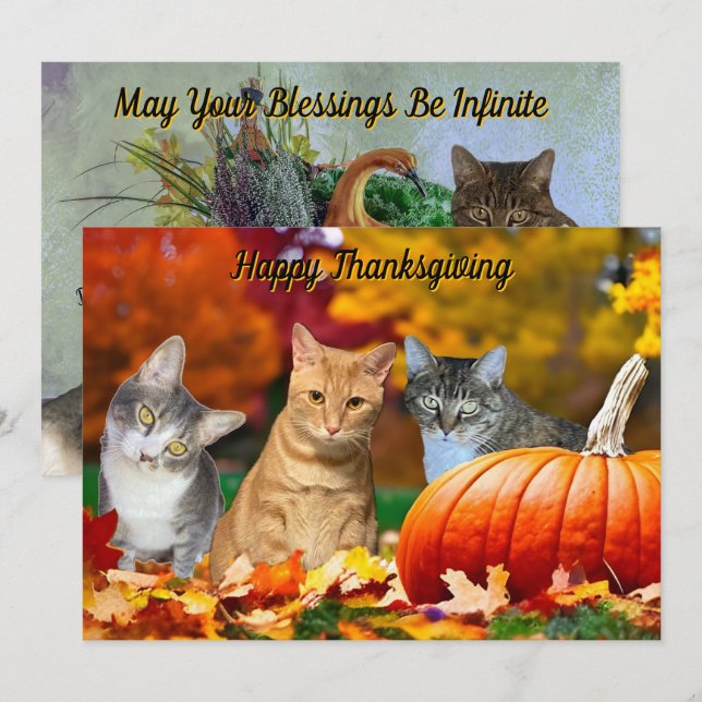 Tito, Taz, and Annie's 2025 Thanksgiving Flat Card (Frente/Verso)