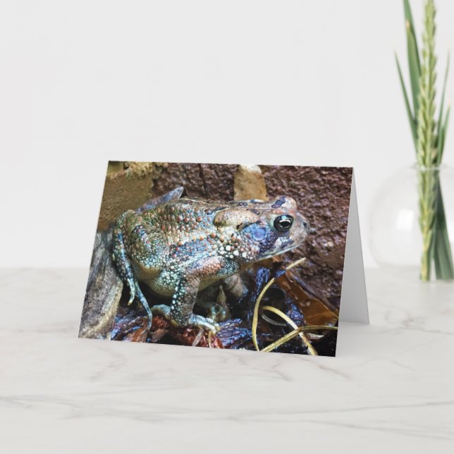 Toad, cartão (Frente)